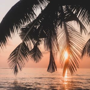 Meet your Posher, Jaden